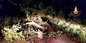 Forti raffiche di vento: Interventi dei Vigili del Fuoco sulla fascia costiera tirrenica