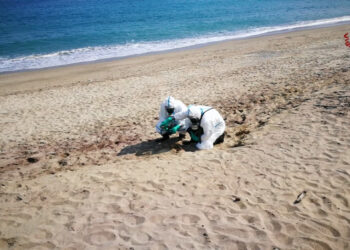 Fusto spiaggiato a Roccelletta di Borgia, intervento dei Vigili del Fuoco del nucleo Nbcr