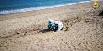 Fusto spiaggiato a Roccelletta di Borgia, intervento dei Vigili del Fuoco del nucleo Nbcr