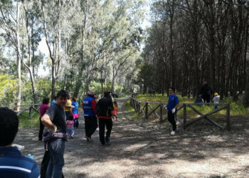 Giornata Ecologica: Tantissimi volontari per ripulire la Pineta di Cirò Marina