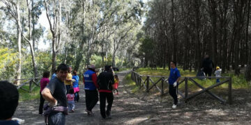 Giornata Ecologica: Tantissimi volontari per ripulire la Pineta di Cirò Marina