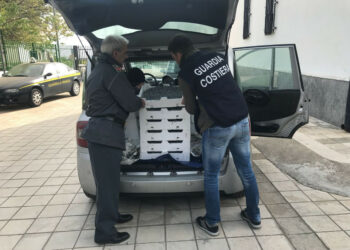 Guardia Costiera e Guardia di Finanza sequestrano 3 quintali e mezzo di bianchetto