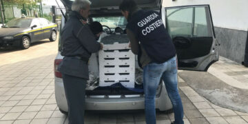 Guardia Costiera e Guardia di Finanza sequestrano 3 quintali e mezzo di bianchetto