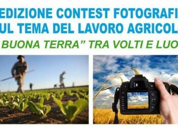 I^ edizione Contest Fotografico sul tema del lavoro agricolo “La buona terra – Tra volti e luoghi”