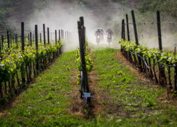 I grandi campioni di Enduro nella “Calabria che non ti aspetti” sulla strada della Transumanza