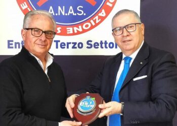 Incontro tra il presidente della Commissione regionale della Calabria, Benedetto Di Iacovo e il presidente provinciale A.N.A.S, Franco Iona