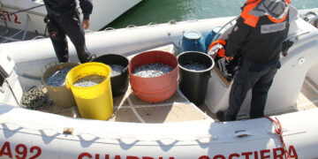 La Capitaneria di Porto di Crotone sequestra 500 Kg di novellame di Sarda