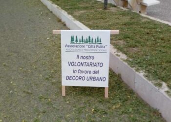 Nuove piante sul Lungomare di Cirò Marina grazie a “Città Pulita”, operatori economici, cittadini e associazioni