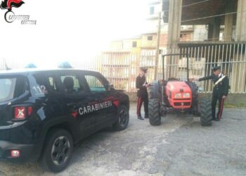 Agricoltore sorpreso a bordo di un trattore con telaio contraffatto, denunciato per ricettazione 38enne di Petilia Policastro