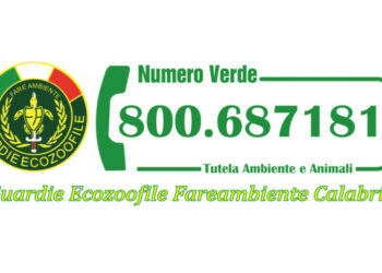 Attivato il “Numero verde” ambiente e animali di FareAmbiente Calabria