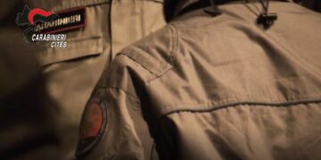 Carabinieri smantellano organizzazione dedita al traffico di specie animali protette