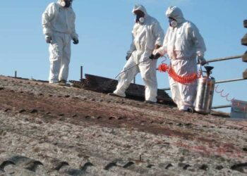 Calabria, terra disarmante, di rara bellezza, stretta dalla morsa della degradazione ambientale