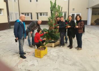 Gli alunni diversamente abili dell’IPSIA di Crotone al lavoro con il giardinaggio nella scuola