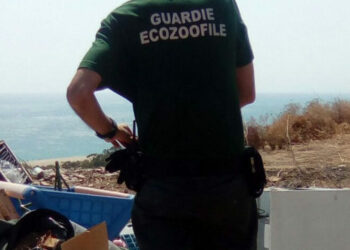 Guardie Ecozoofile: rifiuti speciali pericolosi rinvenuti in una zona rurale di Isola di Capo Rizzuto