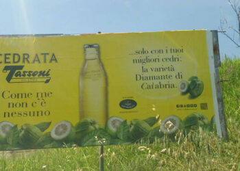 Coldiretti: nelle bibite con succo di frutta c’è chi indica l’origine e chi prova ad ingannare i consumatori