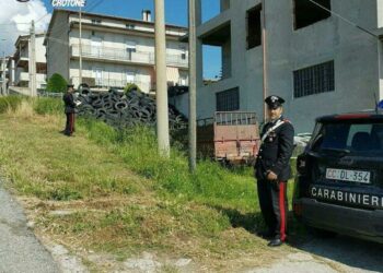 Omessa rimozione e smaltimento di rifiuti a Cotronei, deferito 43enne