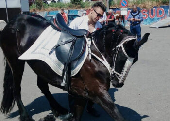 Premiate le Scuderie ”De Leo” e ”Ribelli” di Cirò Marina all’Antica Fiera del Capo di Crotone