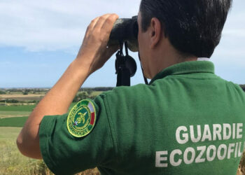 Rinvenuti depositi di eternit nell’Area Marina Protetta di Capo Rizzuto