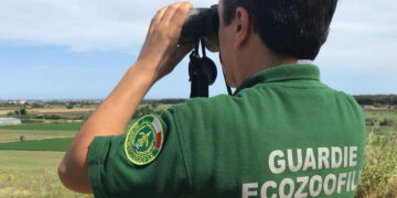 Rinvenuti depositi di eternit nell’Area Marina Protetta di Capo Rizzuto