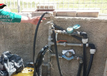 Rubava l’acqua potabile per irrigare l’orto e il giardino, deferito un 60 enne di Crotone