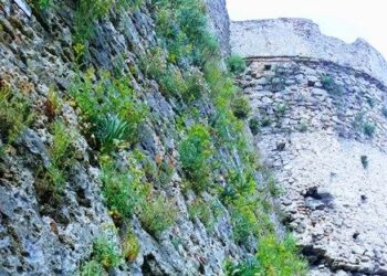 La Ruta selvatica trova il suo habitat naturale tra le antiche mura del castello di Cirò