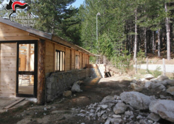 Sequestrato un fabbricato in costruzione e terreno disboscato a Cotronei