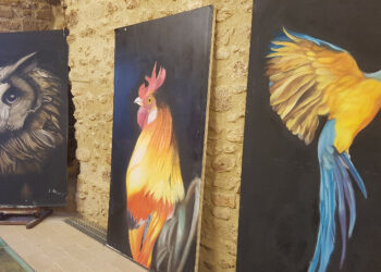 Animal World: il mondo animale in mostra nella Fortezza Aragonese di Le Castella