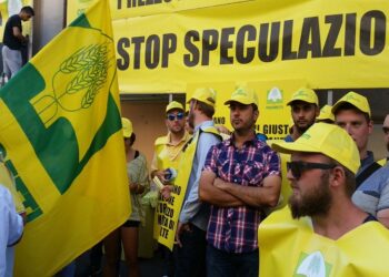 Coldiretti: puntualmente in piena raccolta crolla il prezzo alla produzione del nostro grano. Ecco il perché!