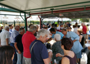 Concluso con successo il Farmer’s Market di Crotone, il mercato dei contadini con i prodotti a Km zero