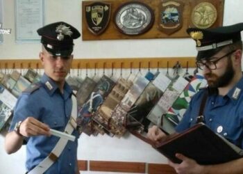 Guida sotto l’influenza di stupefacenti, denunciato 38enne di Petronà