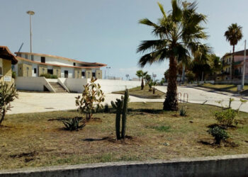 Il Porto di Cirò Marina adesso ha nuove piante grazie a “Città Pulita” e alle donazioni dei Cittadini, il tutto a costo zero per le casse comunali