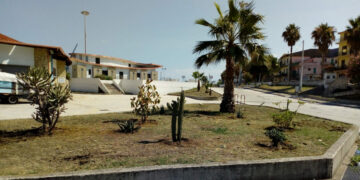 Il Porto di Cirò Marina adesso ha nuove piante grazie a “Città Pulita” e alle donazioni dei Cittadini, il tutto a costo zero per le casse comunali