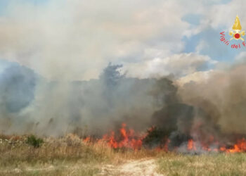 Incendio devastante questa mattina ha colmpito dieci ettari tra uliveti, incolto e pineta