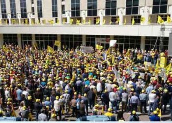 Definita la graduatoria del Bando Psr “Agrindustria”: ora la pubblicazione dei dati sui contratti scritti