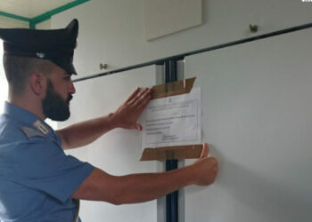 NAS e Carabinieri Ispettorato del Lavoro in una Azienda Agricola, sequestrati 30 quintali di formaggi e 150 litri di latte