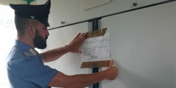 NAS e Carabinieri Ispettorato del Lavoro in una Azienda Agricola, sequestrati 30 quintali di formaggi e 150 litri di latte