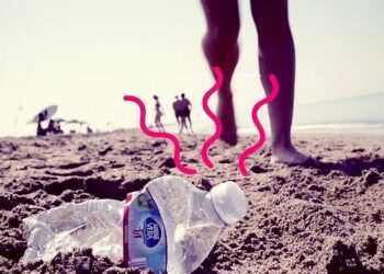 Nasce “Plastic Radar”, un’iniziativa di “Greenpeace” per segnalare i rifiuti in plastica nei nostri mari