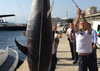 Operazione “Damocle”: Controlli a tappeto della direzione marittima della Calabria e Basilicata tirrenica