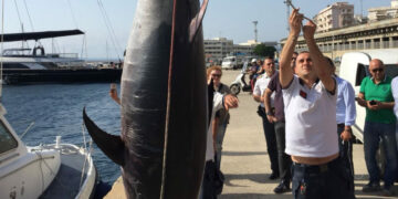 Operazione “Damocle”: Controlli a tappeto della direzione marittima della Calabria e Basilicata tirrenica