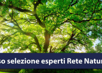 Regione Calabria, Esperti siti rete natura: seconda fase di selezione
