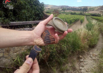 Scoperto un sito Brettio tra i filari di un vigneto a Umbriatico