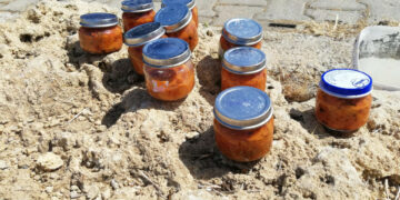 Sorpreso a pescare Ricci di mare, multa da 1000euro dalla Capitaneria di Porto