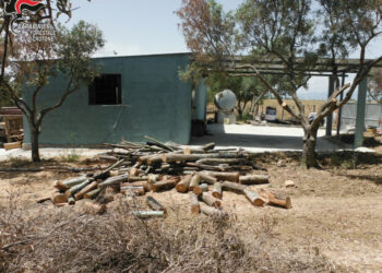 Sorpreso mentre tinteggiava un fabbricato rurale abusivo a Crotone, deferito 44enne di Papanice