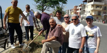 Un albero per ogni rotariano per la ricostruzione di un tratto di macchia mediterranea in un’area di pregio paesaggistico di Cirò Marina