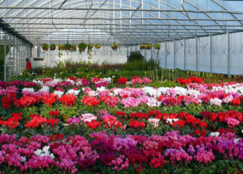 Venerdi 15 giugno, Sciopero nazionale degli operai agricoli e florovivaisti