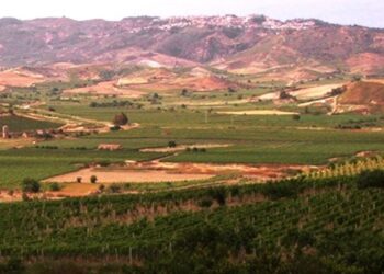 Al via il Wine Tour a Cirò, ed è subito il boom di adesioni e richieste