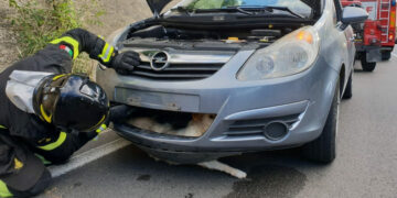 Auto investe un cane e rimane incastrato nel paraurti, salvato dai Vigili del Fuoco