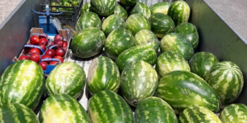 Crotone, contrasto agli ambulanti abusivi: sequestrati oltre 350 kg di frutta e 22000 euro di multe