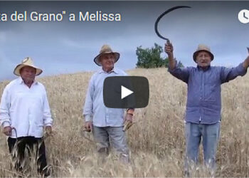 Domenica 15 luglio la “Festa del Grano” a Melissa per rivivere la mietitura, la pesatura nell’aia e la preparazione dei cibi della tradizione contadina