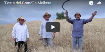 Domenica 15 luglio la “Festa del Grano” a Melissa per rivivere la mietitura, la pesatura nell’aia e la preparazione dei cibi della tradizione contadina